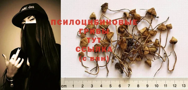 круглые Абинск